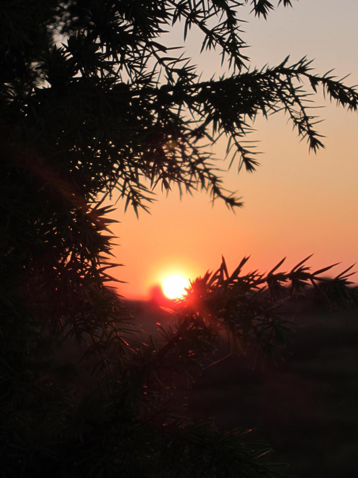 Haus Heidetal Bed and Breakfast Bispingen Εξωτερικό φωτογραφία