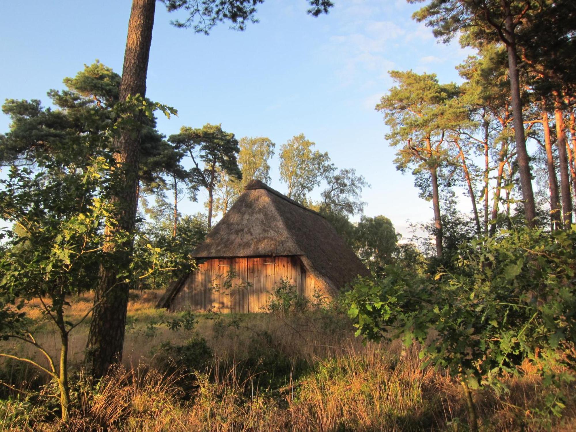 Haus Heidetal Bed and Breakfast Bispingen Εξωτερικό φωτογραφία