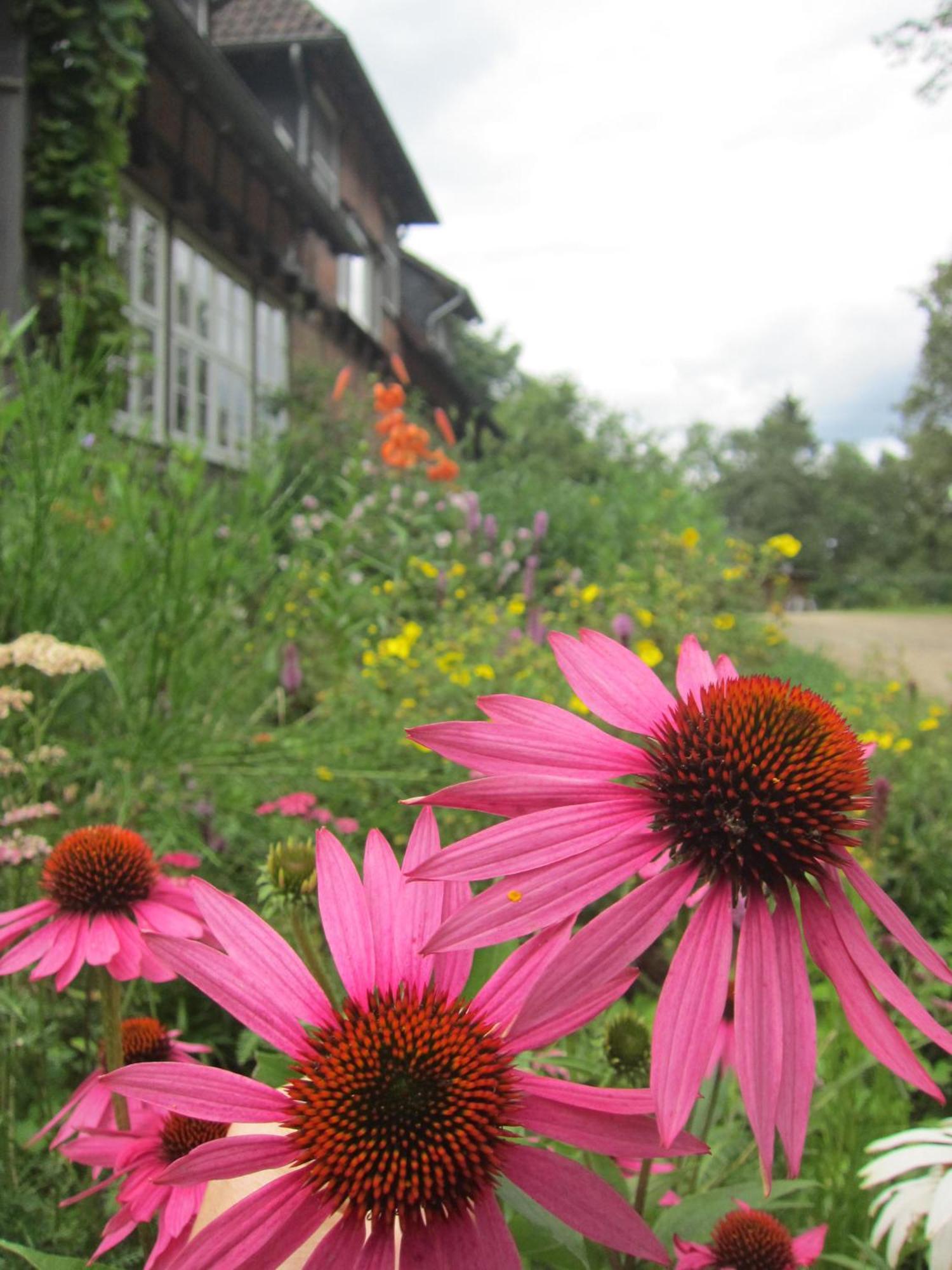 Haus Heidetal Bed and Breakfast Bispingen Εξωτερικό φωτογραφία