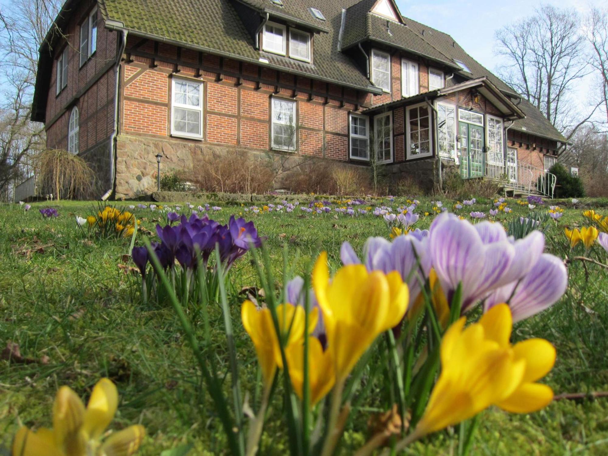 Haus Heidetal Bed and Breakfast Bispingen Εξωτερικό φωτογραφία